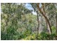 48 Murrays Hill Road, Coromandel Valley SA 5051