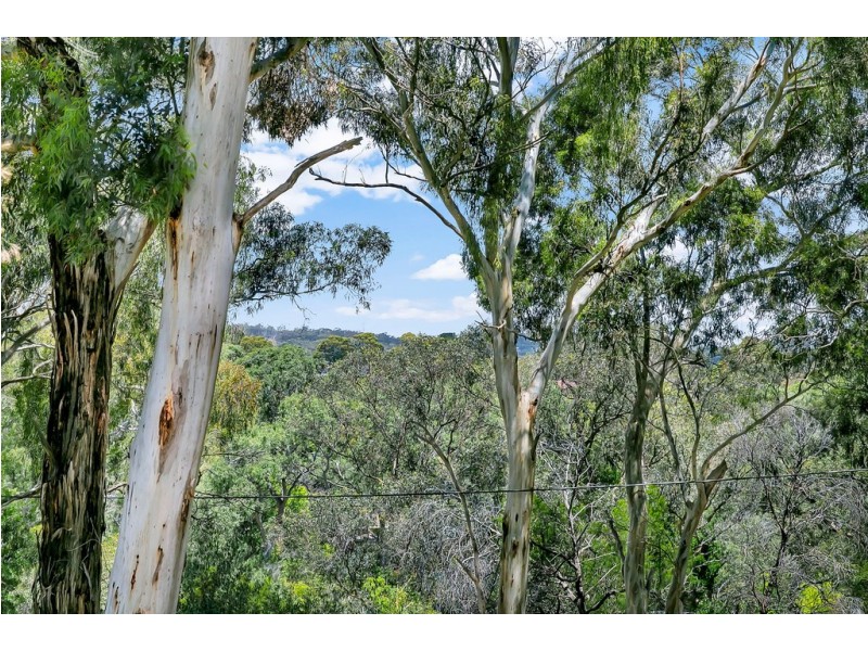 48 Murrays Hill Road, Coromandel Valley SA 5051