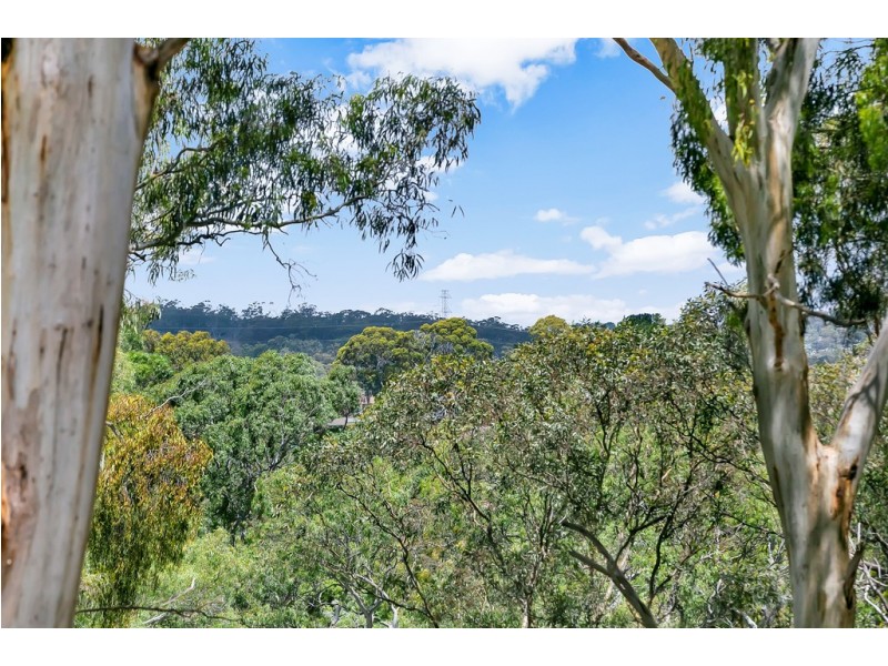 48 Murrays Hill Road, Coromandel Valley SA 5051