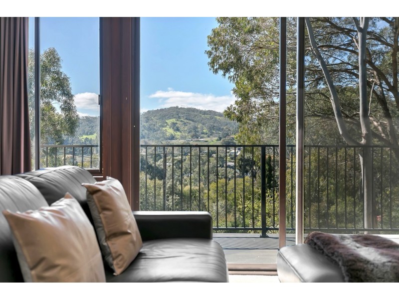 4 Jacaranda Drive, Coromandel Valley SA 5051