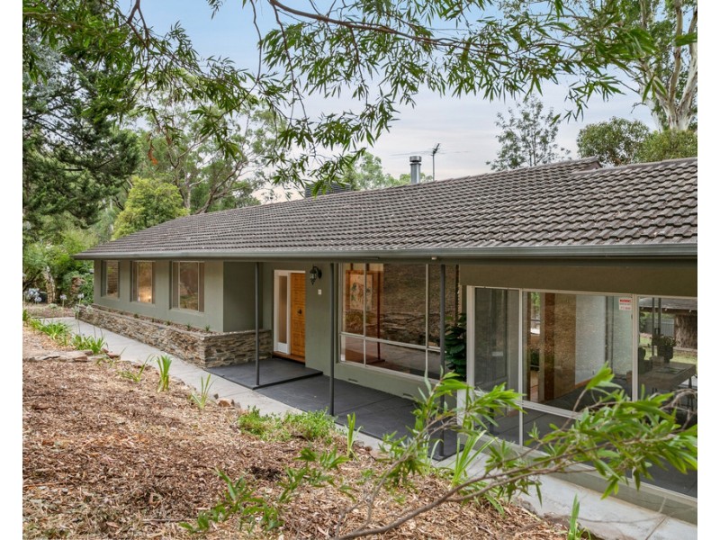 17 Boronia Avenue, Coromandel Valley SA 5051