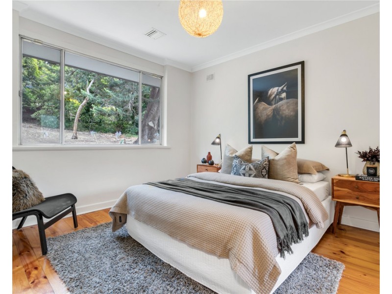 17 Boronia Avenue, Coromandel Valley SA 5051