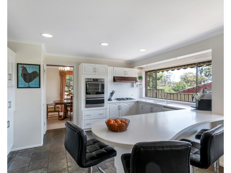 3 Barbara Crescent, Coromandel Valley SA 5051