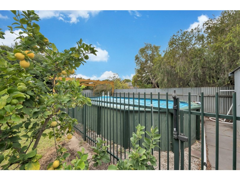 42 Laffers Crescent, Reynella SA 5161