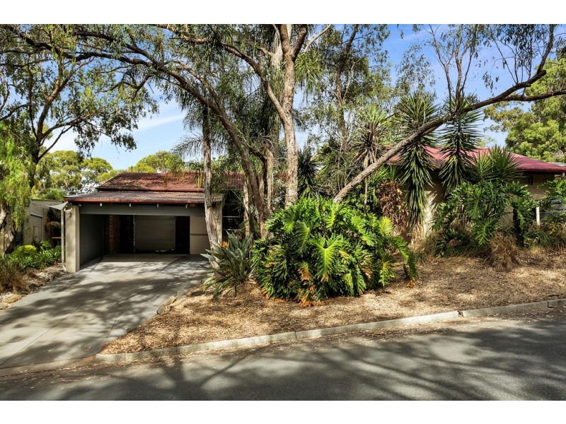 6 Catharina Street, Flagstaff Hill SA 5159