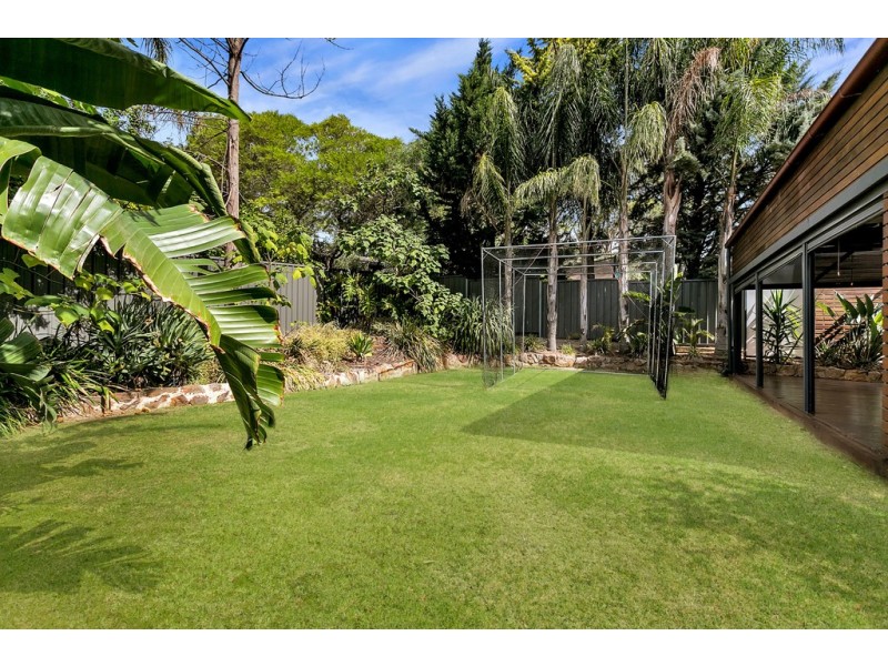 6 Catharina Street, Flagstaff Hill SA 5159