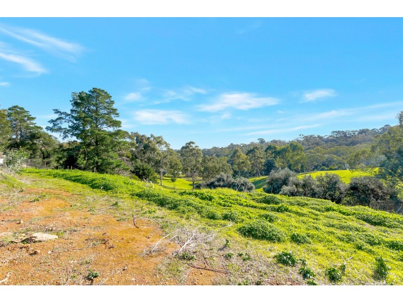 199a Windebanks Road, Aberfoyle Park SA 5159