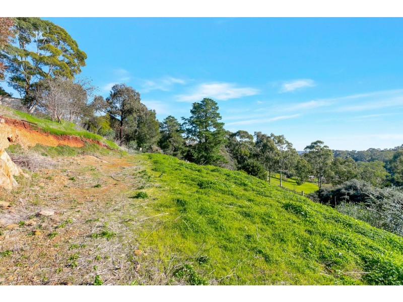 199a Windebanks Road, Aberfoyle Park SA 5159