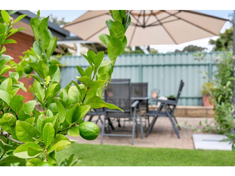 2 Deborah Road, Aberfoyle Park SA 5159