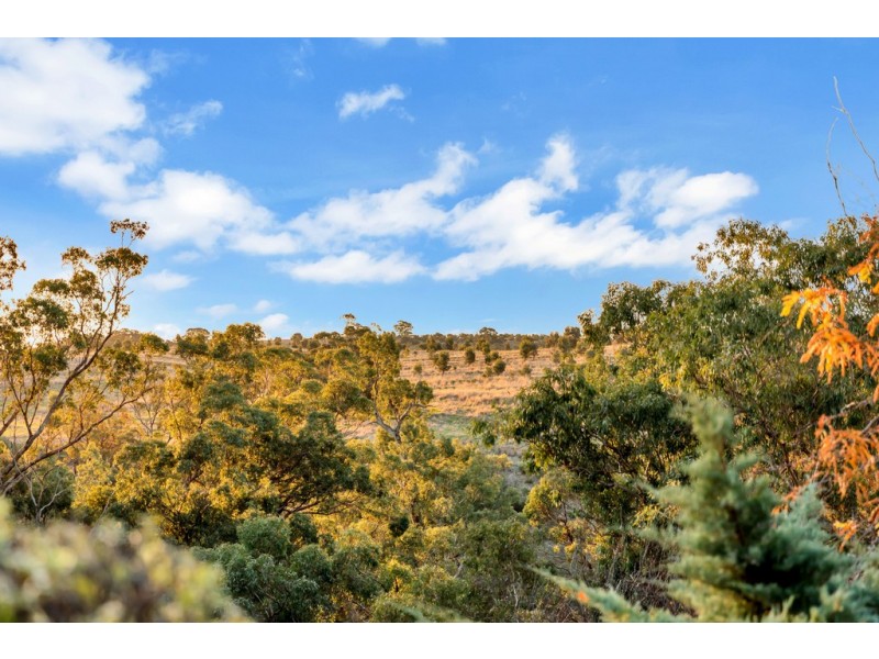 28 Ironbark Avenue, Flagstaff Hill SA 5159