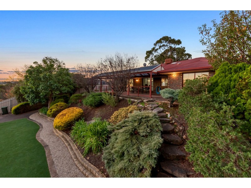 53 Glendale Avenue, Flagstaff Hill SA 5159