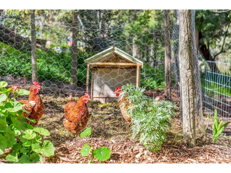 11 Yalpara Street, Eden Hills SA 5050