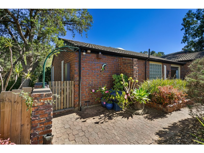 4 Radiata Place, Aberfoyle Park SA 5159