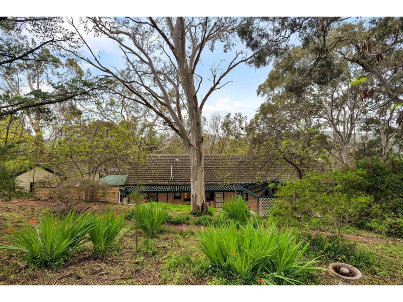 2 Rustic Avenue, Coromandel Valley SA 5051