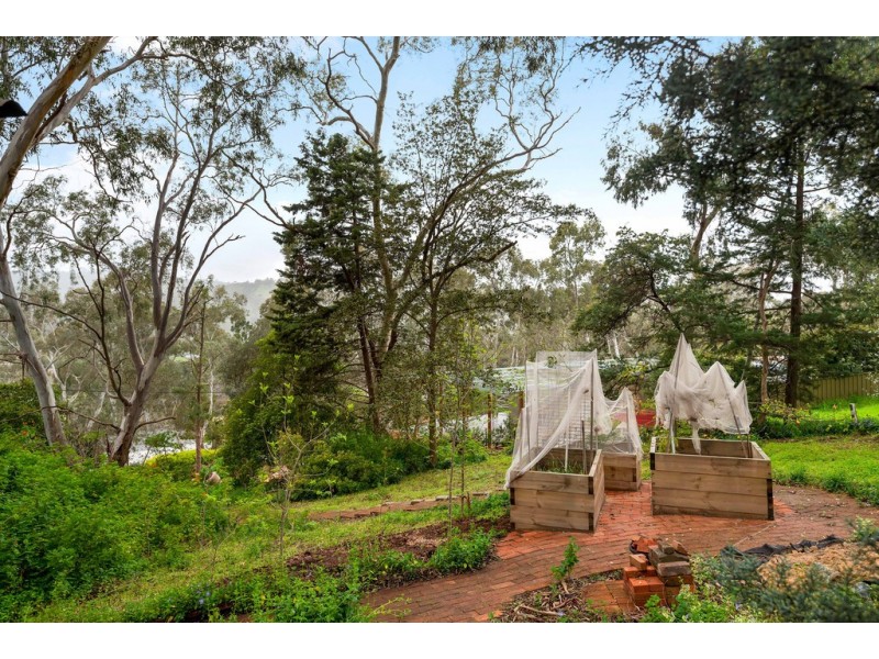 2 Rustic Avenue, Coromandel Valley SA 5051