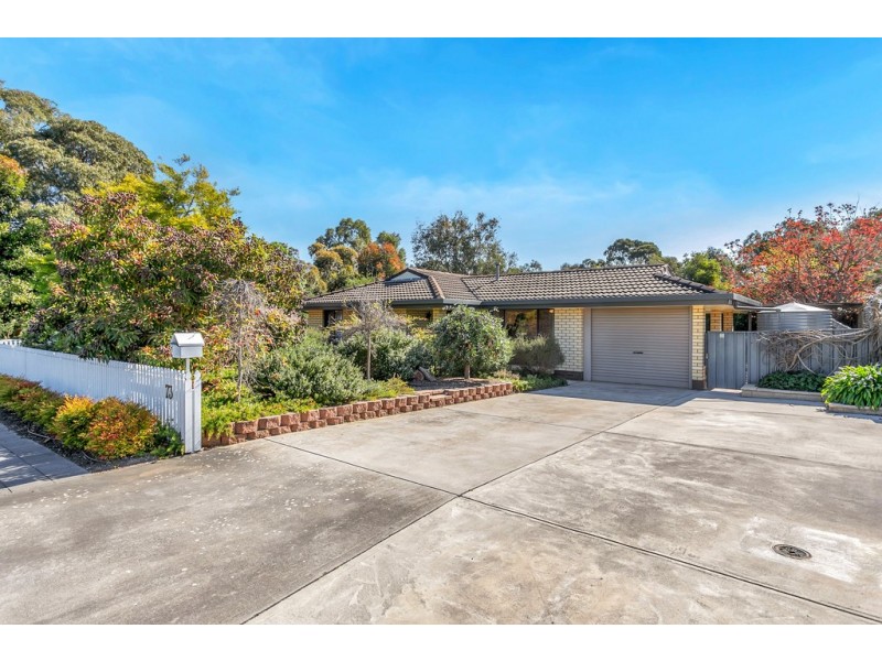 73 Delta Crescent, Aberfoyle Park SA 5159