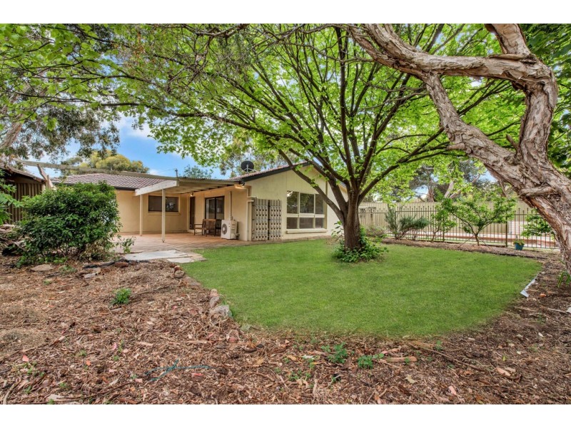 4 Coromandel Street, Flagstaff Hill SA 5159