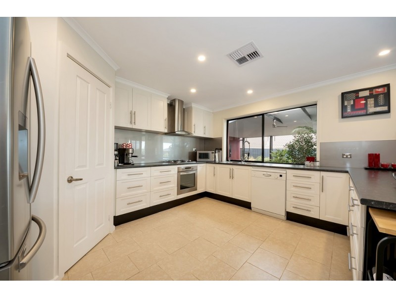 7 Coulter Street, Flagstaff Hill SA 5159