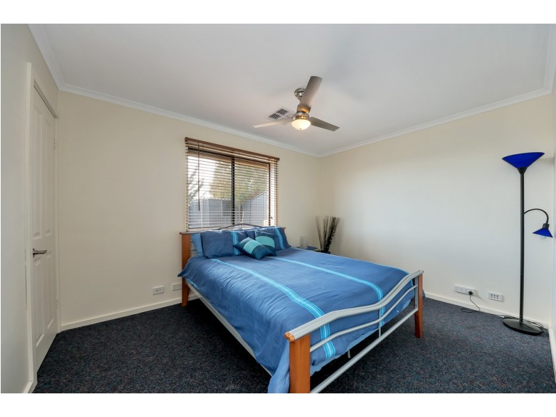 7 Coulter Street, Flagstaff Hill SA 5159