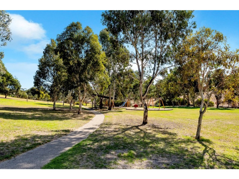 7 Coulter Street, Flagstaff Hill SA 5159