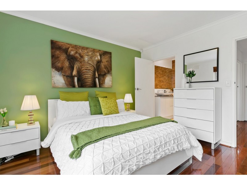 56 Birman Crescent, Flagstaff Hill SA 5159