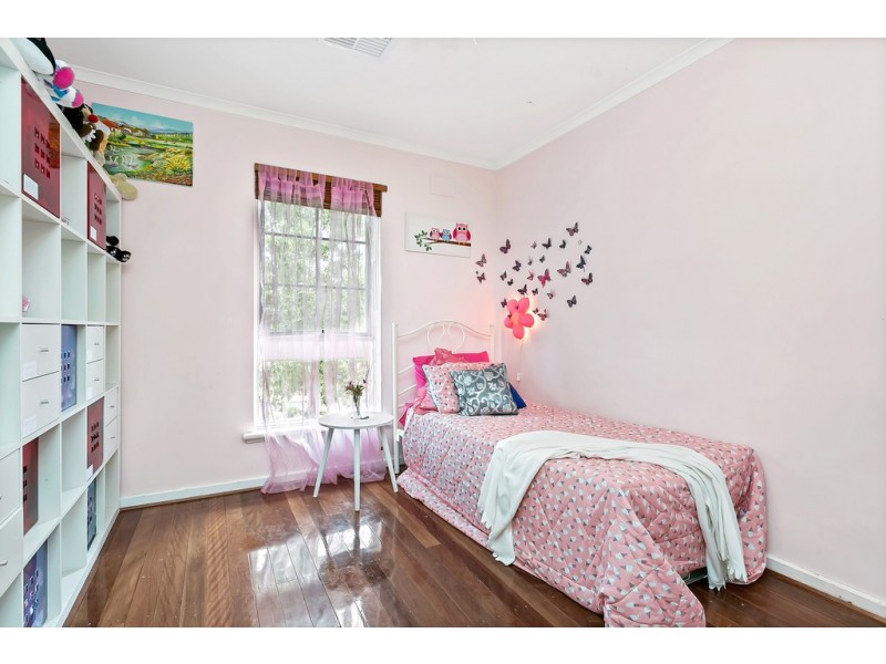 56 Birman Crescent, Flagstaff Hill SA 5159