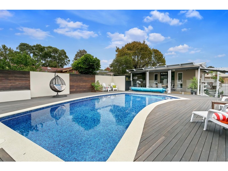 56 Birman Crescent, Flagstaff Hill SA 5159