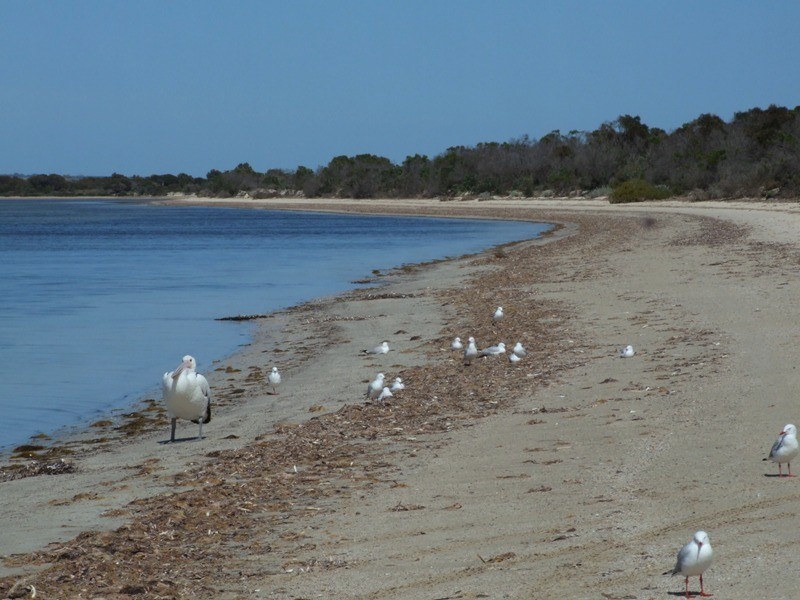 Lot 131 Third Street, Brownlow, Kingscote SA 5223