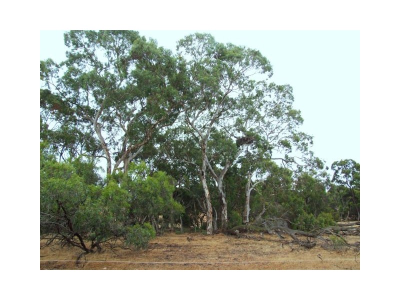 LOT 1 REDBANKS ROAD, Haines SA 5223