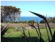 37 Chapman Terrace, Kingscote SA 5223