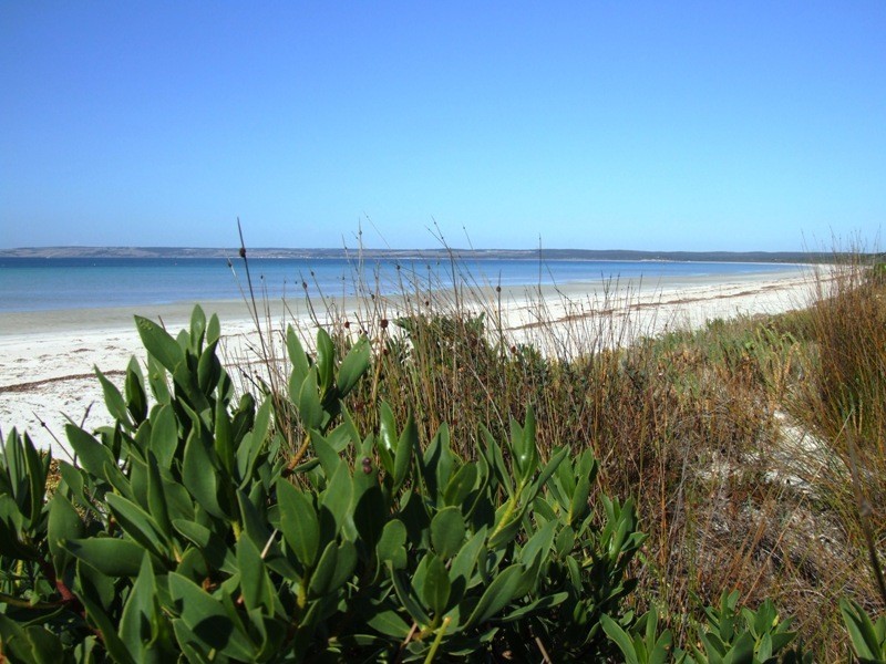 Lot 201 Island Beach Road, Island Beach SA 5222