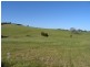 Lot 66 Summervista Blvd, Bay Of Shoals SA 5223