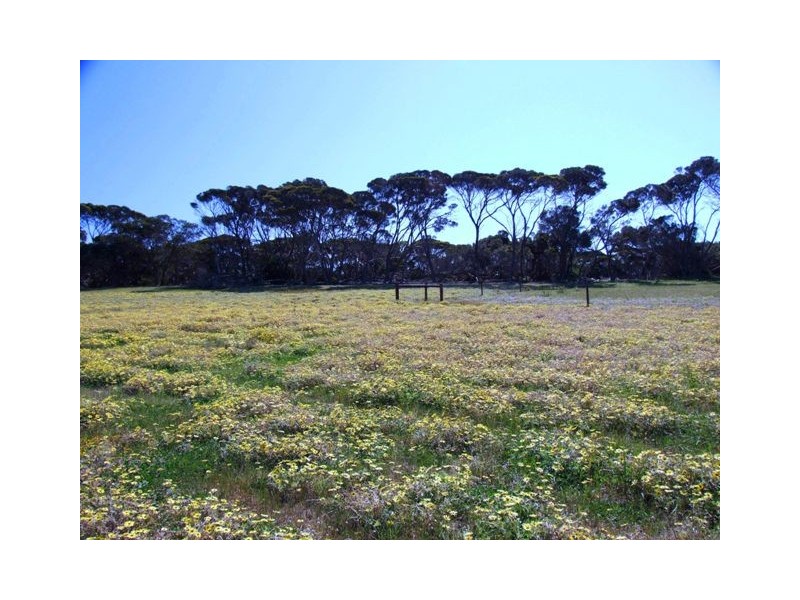 Lot 66 Summervista Blvd, Bay Of Shoals SA 5223