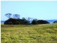 Lot 66 Summervista Blvd, Bay Of Shoals SA 5223