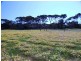 Lot 67 Summervista Blvd, Bay Of Shoals SA 5223