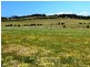 Lot 79 Summervista Blvd, Bay Of Shoals SA 5223