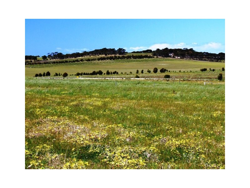 Lot 79 Summervista Blvd, Bay Of Shoals SA 5223