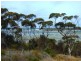 Lot 1 Scenic Drive, American River SA 5221