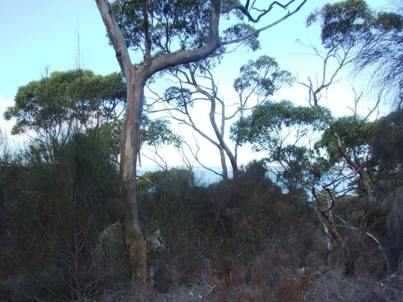 Lot 11 Falie Court, American River SA 5221