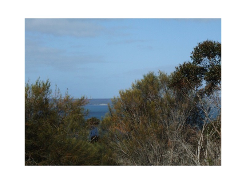 LOT 39 FALIE COURT, American River SA 5221