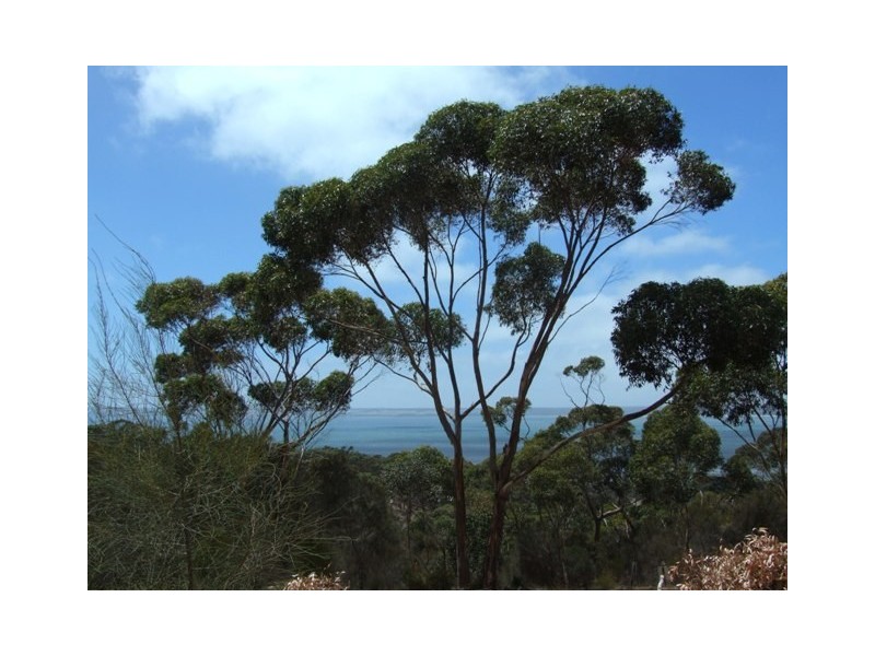 LOT 42 FALIE COURT, American River SA 5221