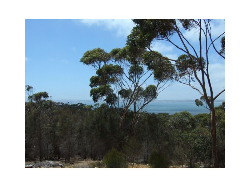 LOT 42 FALIE COURT, American River SA 5221