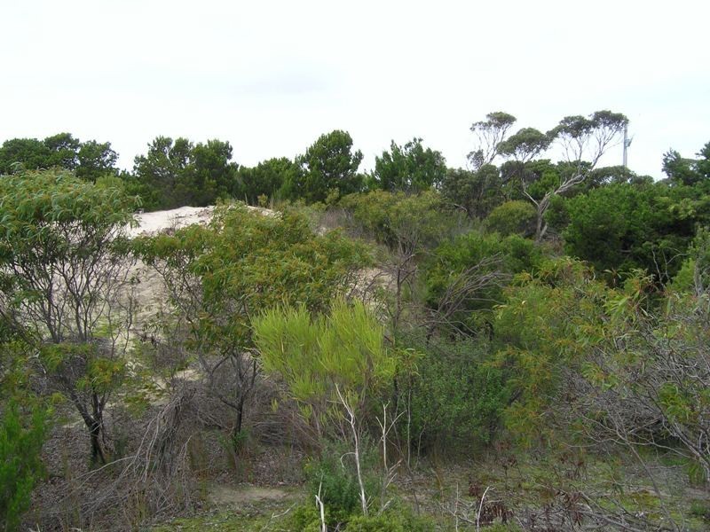 LOT 104 BORDA ROAD, Island Beach SA 5222