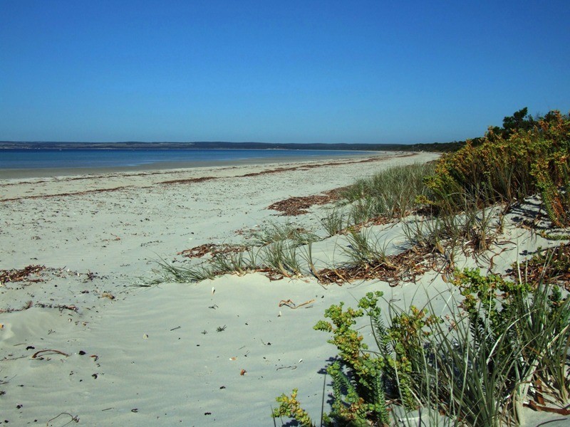LOT 104 BORDA ROAD, Island Beach SA 5222
