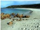 LOT 169 D’ESTREES BAY ROAD, D’estrees Bay SA 5223
