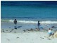 LOT 169 D’ESTREES BAY ROAD, D’estrees Bay SA 5223