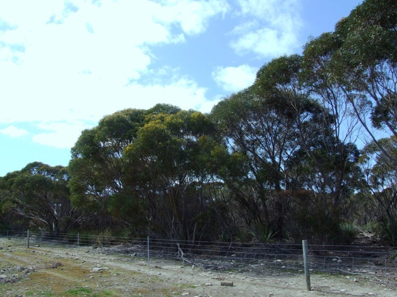 LOT 169 D’ESTREES BAY ROAD, D’estrees Bay SA 5223