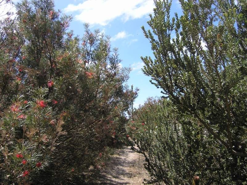 LOT 74 ESPLANADE, Nepean Bay SA 5223