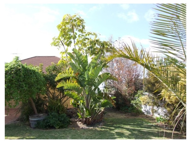 5 Dauncey Street, Kingscote SA 5223