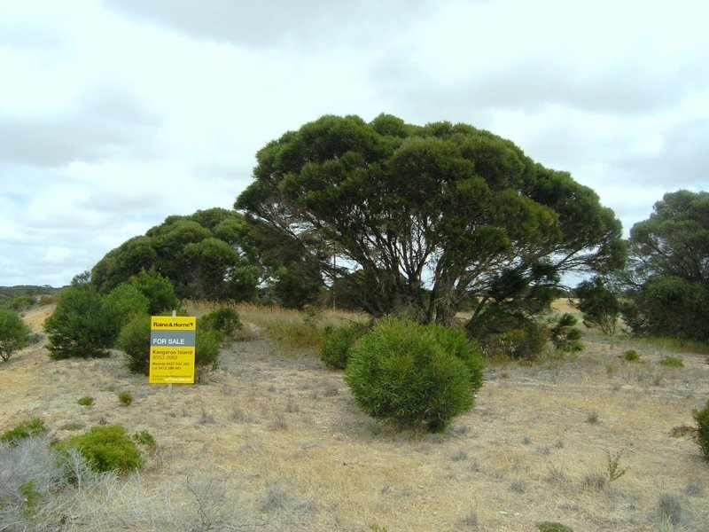 Lot 51 Birchmore Road, Birchmore, Kingscote SA 5223